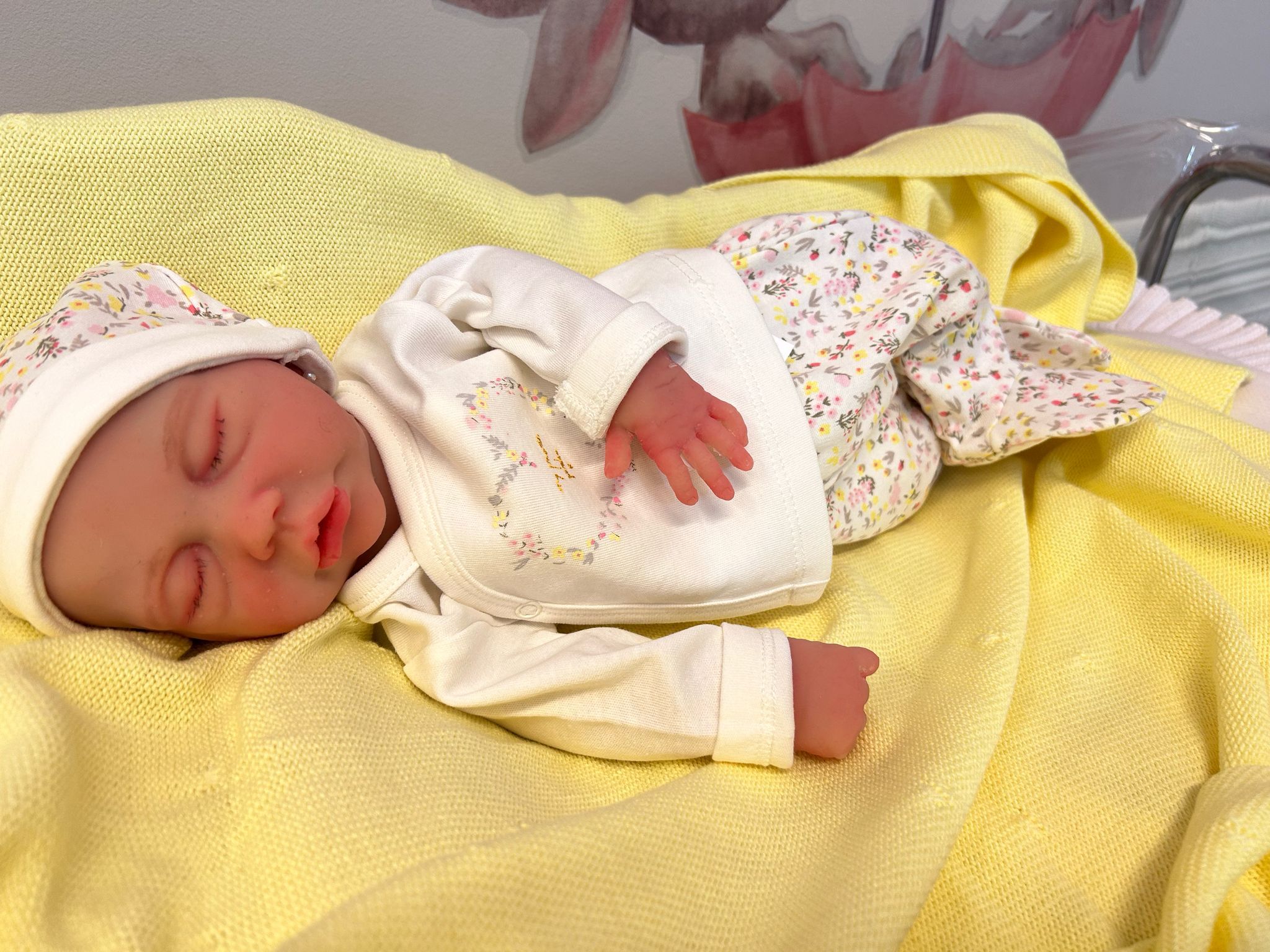 Noah Bebé Reborn Silicona - Imagen 2